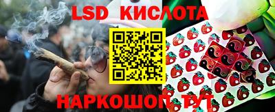 ALPHA PVP Бийск